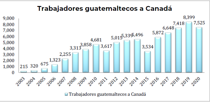 Dos vuelos con 299 guatemaltecos viajan a Canadá para realizar trabajos temporales