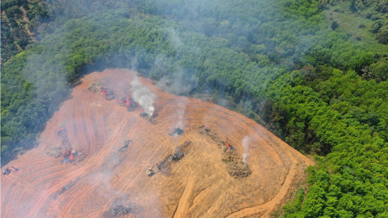 La Deforestación En La Amazonía Aumenta Más De Un 56 Por Ciento En Los últimos Tres Años 